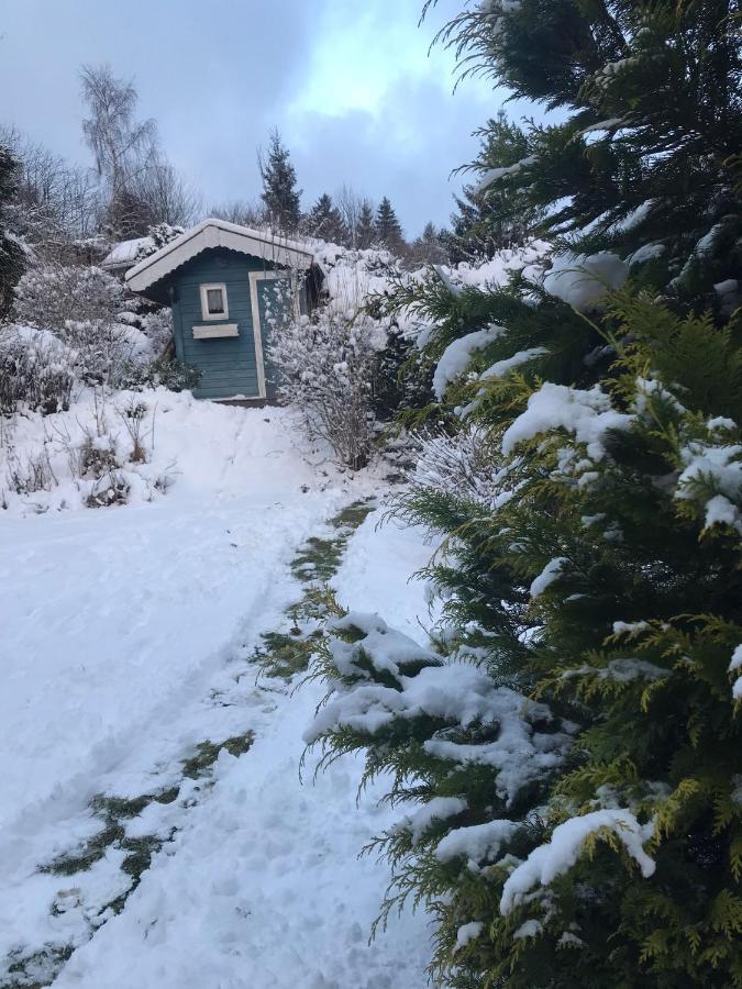 Schoenwald Waldchalet Am Musenberg Stryck Extérieur photo